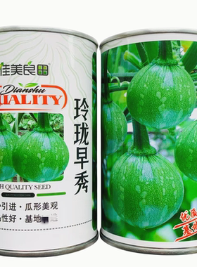 玲珑早秀南瓜种子杂交一代嫩南瓜种子脆甜长蔓一串铃南瓜种子