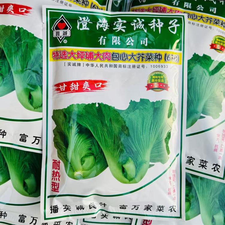 大坪埔大肉包心大芥菜种子大肉芥菜种籽腌制酸菜泡菜蔬菜种孑
