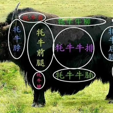 【牦牛肉】牦牛肉阿坝州松潘高原鲜牦牛肉5斤包邮