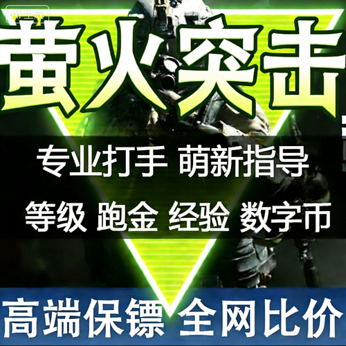 【萤火突击对峙港专属护航】 金牌打手团队 硬核保障战局
