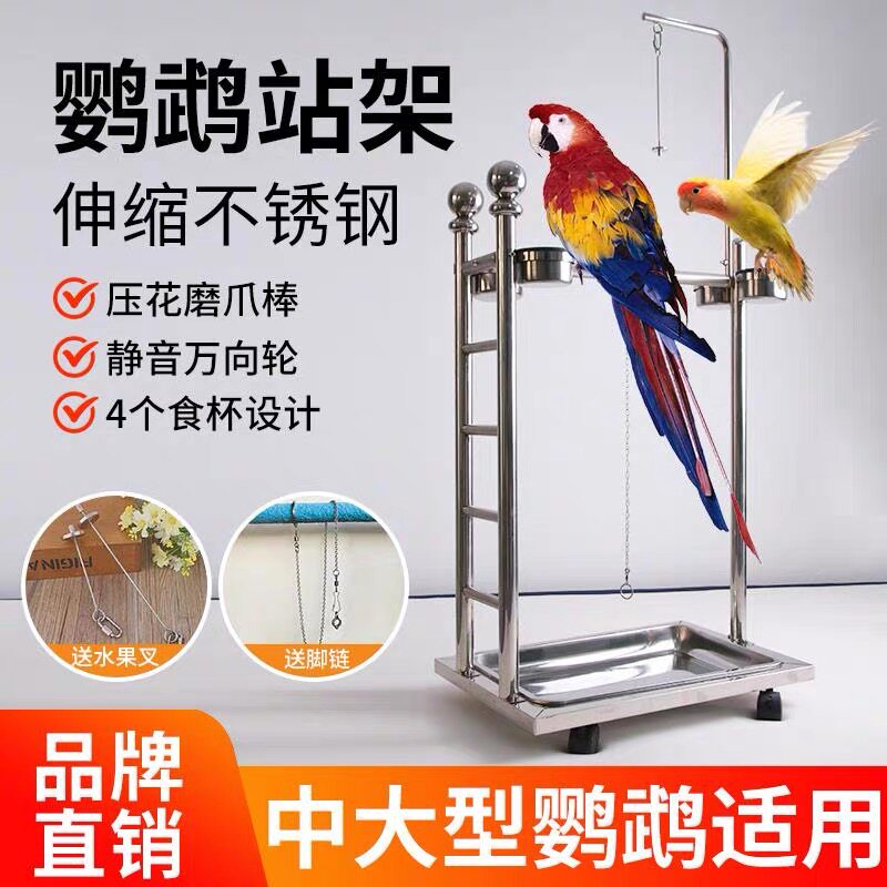 鹦鹉鸟类宠物鸟站架不锈钢不锈钢梯子架大型鸟站架繁殖户饲养架子