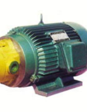 厂家直供启东高压63YCY-Y160L-4-15KW油泵电机组官方