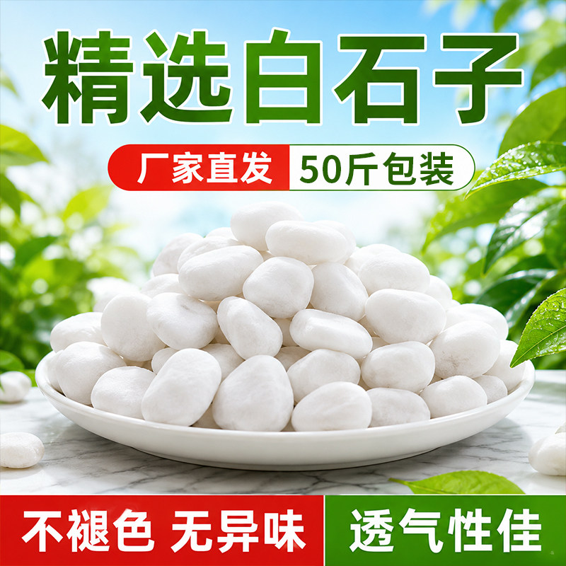 鹅卵石天然雨花石小白石子多肉铺面石盆栽花盆养花水培白色石头