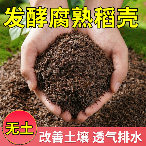 稻壳发酵腐熟稻谷壳种菜改善土壤