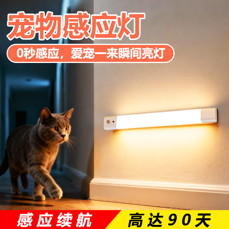 [一万+人种草]宠物感应灯