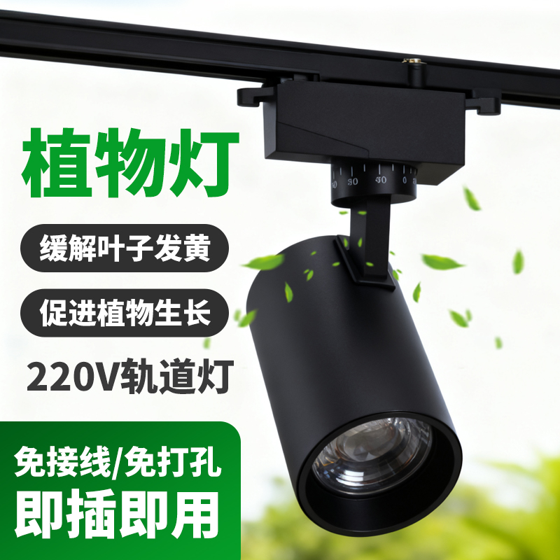 【一万+人种草】植物灯