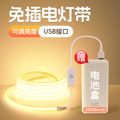 【一万+人种草】免插电usb灯带
