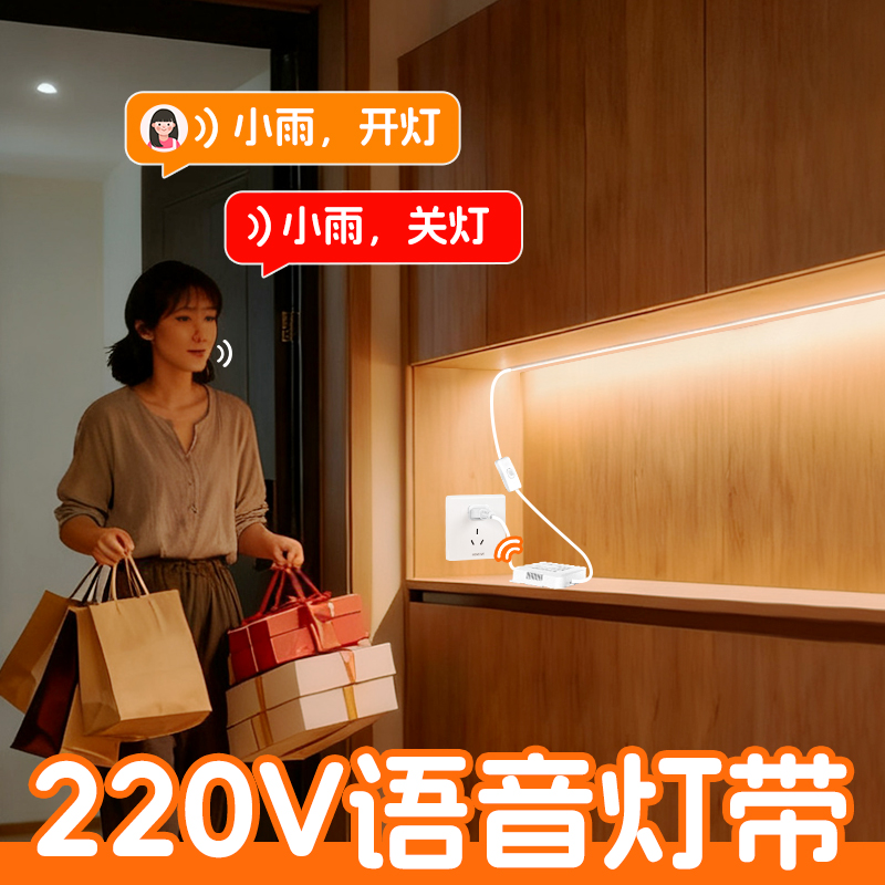 220V语音灯带，无需联网
