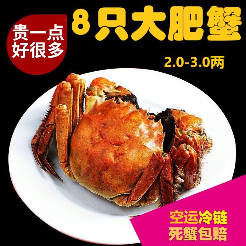 黄河口大闸蟹山东东营鲜活螃蟹全公母礼盒装特大螃蟹|ruв категории водной мясо/свежие фрукты и овощи/еда, морепродукты/водные продукты/изделия, краб, краб - от Buy2taobao.com для оказания профессиональной услуги покупки агента Taobao