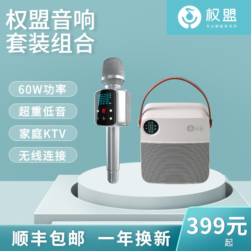 权盟伴侣音箱家庭ktv无线话筒音响一体机电视k歌神器家用户外唱歌