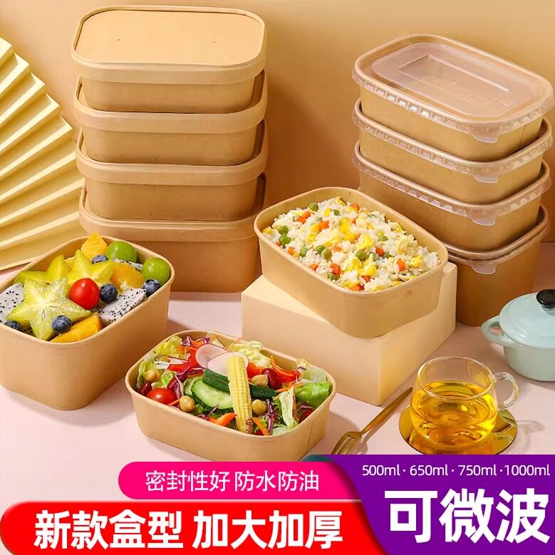 一次性饭盒家用上班族长方形碗外卖快餐打包盒野外水果寿司餐盒子