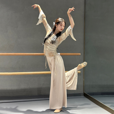 古典舞现代舞中国舞练功服飘逸