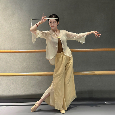 古典舞舞蹈服刺绣纱衣飘逸中国舞