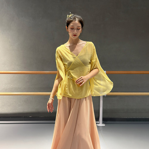 仙气国风飘逸刺绣纱衣古典舞蹈服