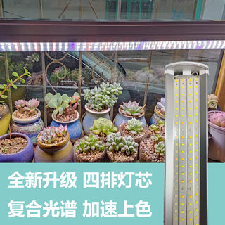 多肉补光灯全光谱仿太阳led植物生长灯家用多肉上色防徒专用灯管