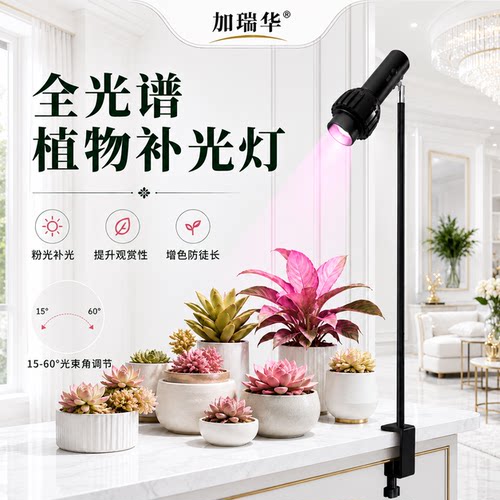聚焦桌面植物生长灯小型绿植热植盆景苔藓补光灯全光谱自然光