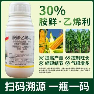 胺鲜酯乙烯利农药增产抗倒伏矮壮素玉米地专用控旺药剂生长调节剂