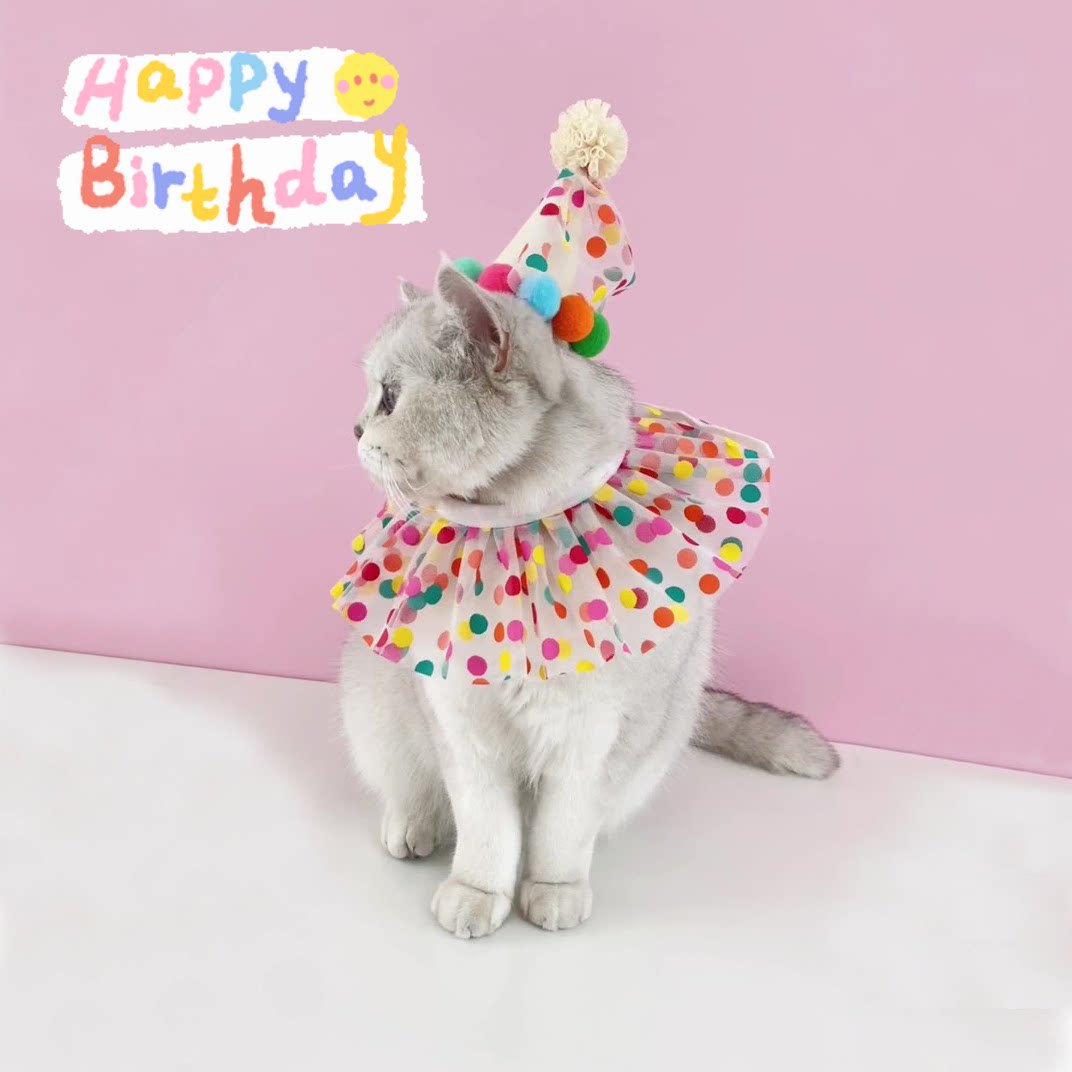猫狗生日公主波点帽围兜套装