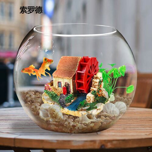 生态缸养金鱼价格 生态缸养金鱼图片 星期三 生态缸养金鱼价格 生态缸养金鱼图片 星期三