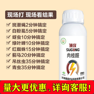 肉桂醛除虫剂蓟马白粉虱蚜虫青虫斑潜蝇红蜘蛛果树蔬菜花卉通杀