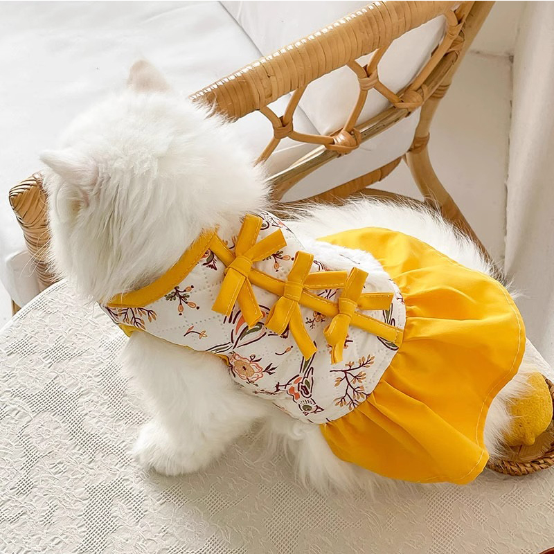 狗狗可爱汉服棉裙装秋冬装泰迪宠物小型犬比熊英短冬季衣服吉娃娃