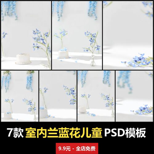 室内兰蓝花儿童模板男女宝宝婴儿摄影楼后期精修合成PSD模板素材