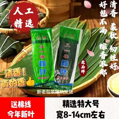 真空新鲜竹叶粽子叶精选特大号好包不漏棕香浓郁清香柔软韧性好