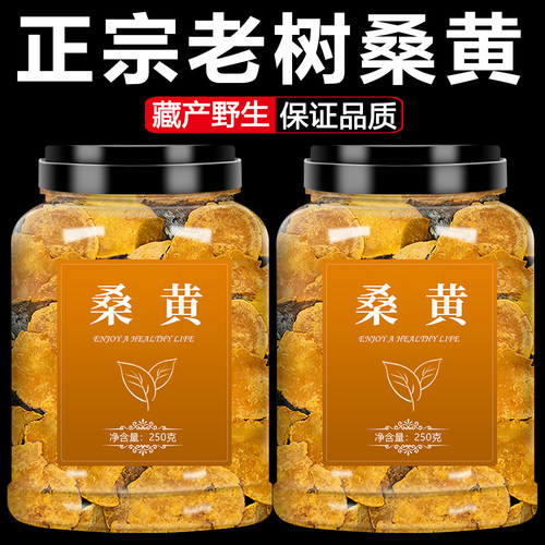 西藏野生桑树桑黄中药材