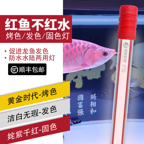玩家正耀烤色发色固色龙鱼潜水灯