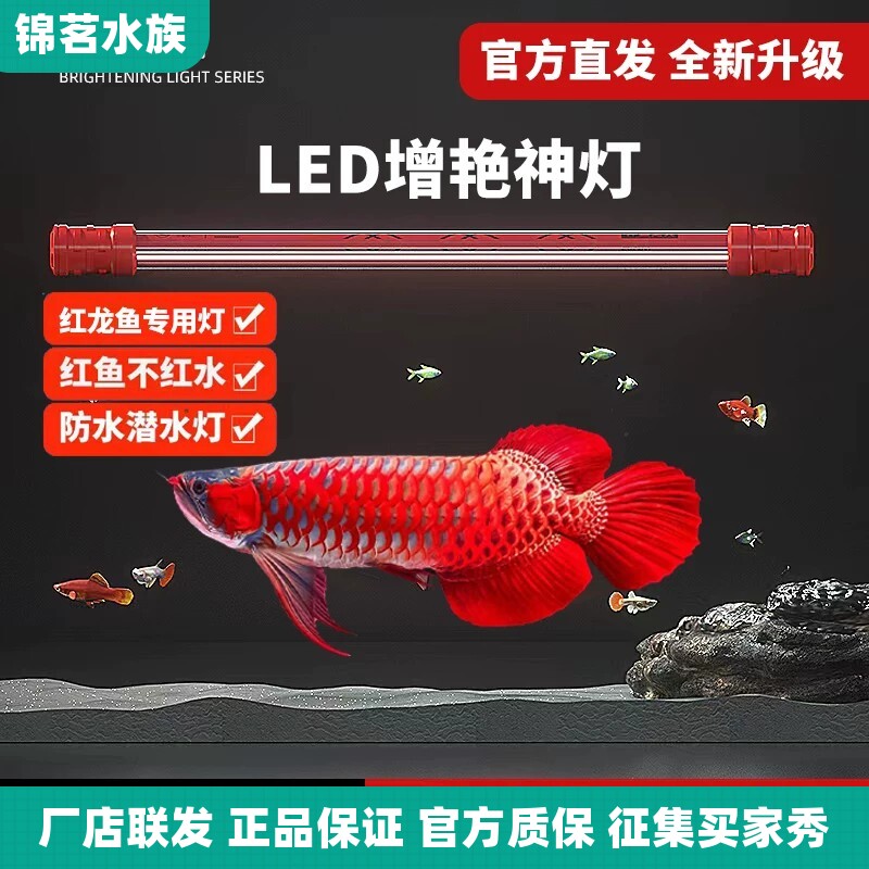 仟鱼神灯龙鱼灯专用水族箱灯三基色增色灯水草灯鱼缸灯led灯防水