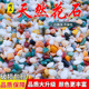 天然彩石多肉花盆铺面石五彩石雨花石七彩色石子鱼缸造景底砂专用