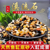 原生溪流石鱼缸造景专用底部砂石鹅卵石溪流沙水族铺底古法养鱼
