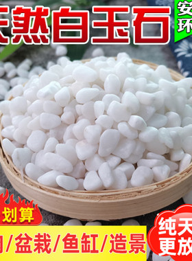 天然白石小白石子多肉铺面盆栽花盆庭院鱼缸造景园艺装饰白色石头