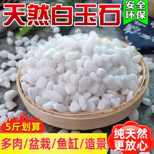 天然白石小白石子多肉铺面鱼缸