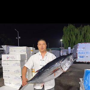冰鲜蓝鳍金枪鱼1条100斤多退少补 顶高端蓝旗顺丰包邮江浙沪皖