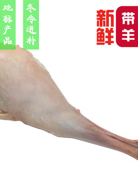 明白山羊整只6-8斤顺丰包邮江浙