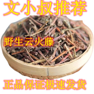 文小叔推荐云火藤年生云火藤泡酒野生云火藤茎叶云火藤中药材泡脚