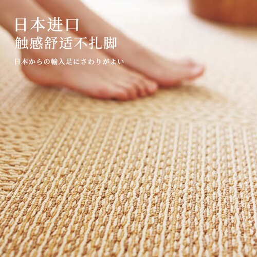 东理TOLI地毯客厅卧室拼接地垫