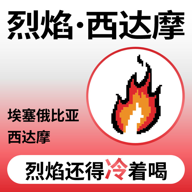 捌比特埃塞俄比亚西达摩烈焰深烘焙手冲冷萃水洗精品咖啡豆250g