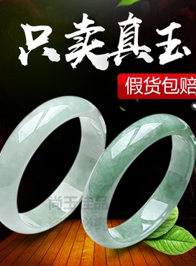 天然正品玉镯子 翡翠色a货真玉浅绿手镯子女送妈妈特价包邮带证书