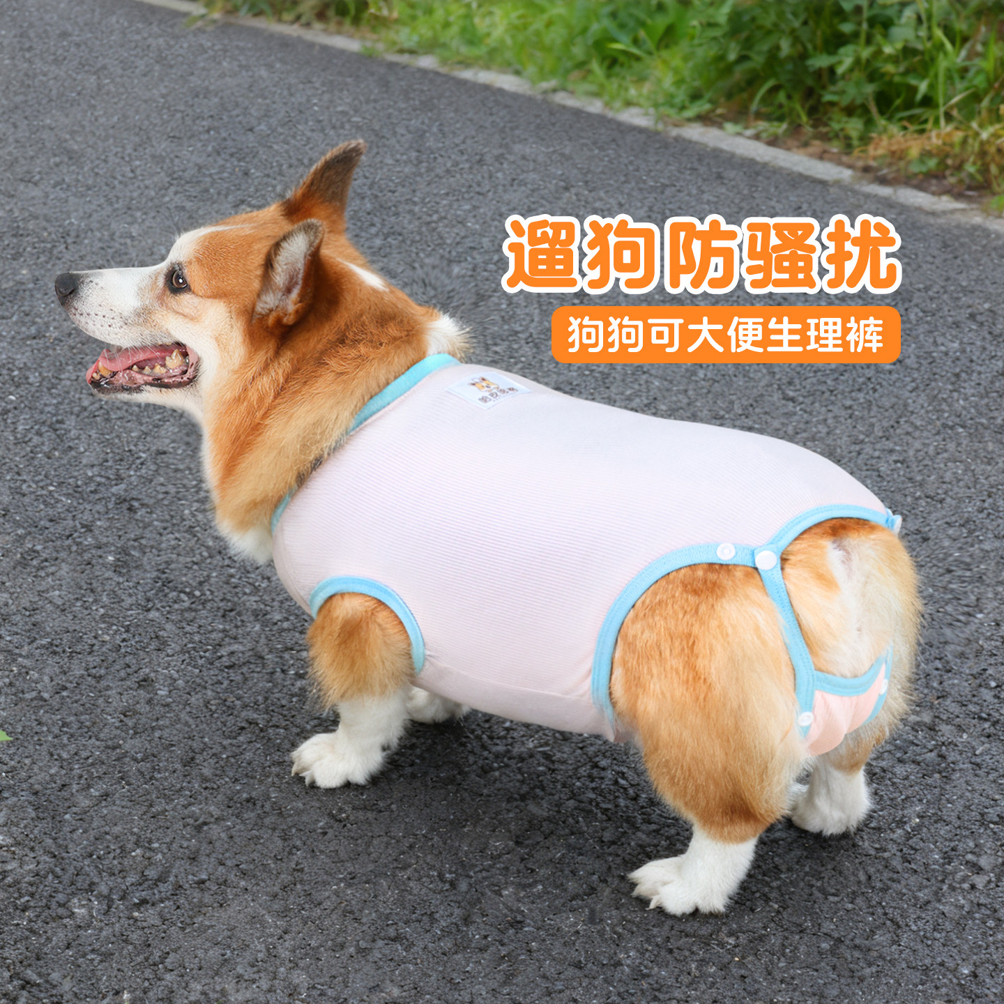 宠物狗狗生理裤母狗防骚扰大姨妈安全裤柯基月经期可排泄防交配裤