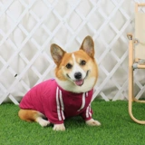 Одежда для любимой собаки осень стиль весна и осенью Новая осень и зимняя собака среднего размера