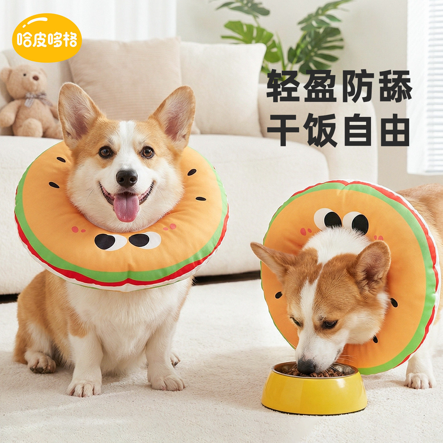 宠物伊丽莎白圈软圈狗狗脖圈猫咪绝育项圈小型犬柯基幼犬防舔头套