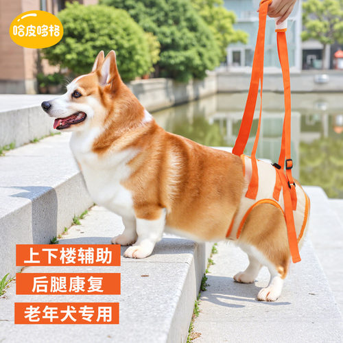 宠物狗狗后腿辅助带后肢残疾瘫痪