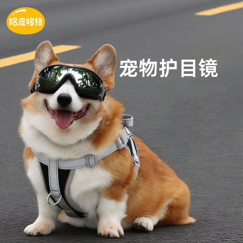宠物狗狗护目镜防风帅气眼镜装饰