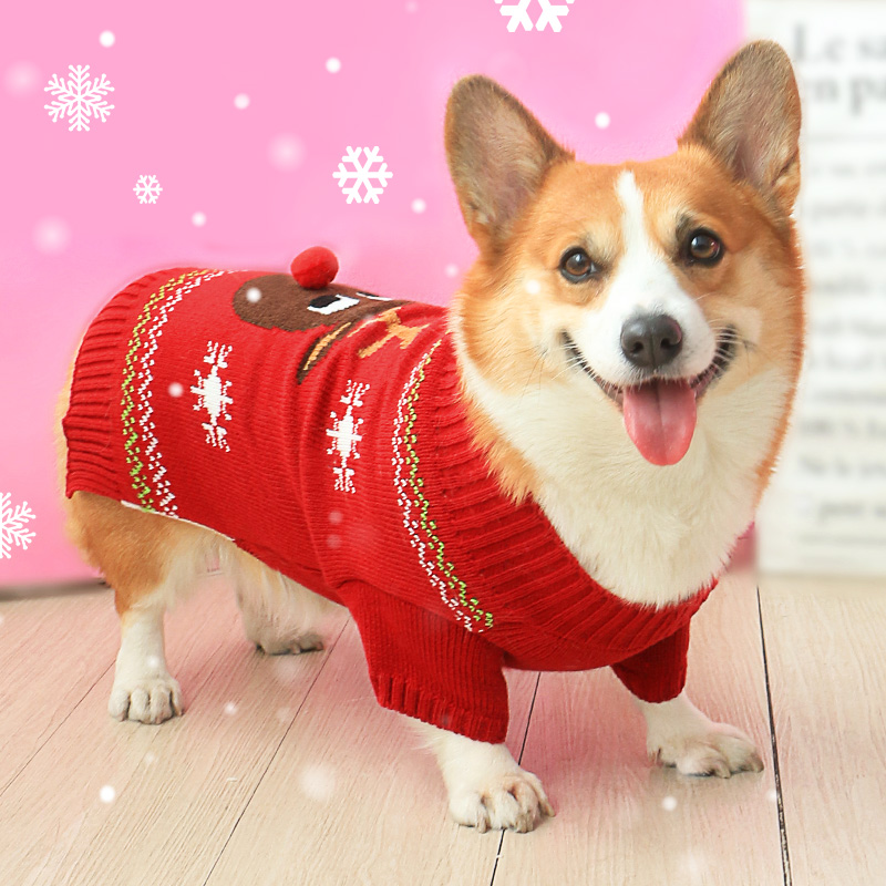 秋冬保暖毛衣衣服冬柯基泰迪狗狗