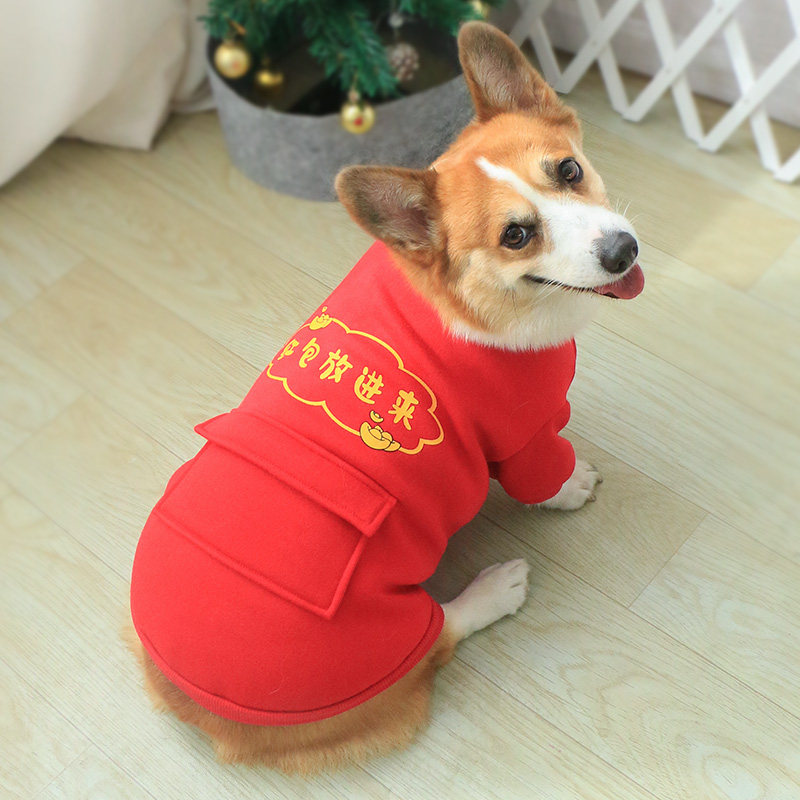 宠物狗狗衣服红色喜庆秋冬款冬季柯基泰迪比熊小型犬幼犬新年卫衣,宠物/宠物食品及用品,狗宠物服装/雨衣,淘宝优惠券,粉丝福利购,淘宝优惠卷