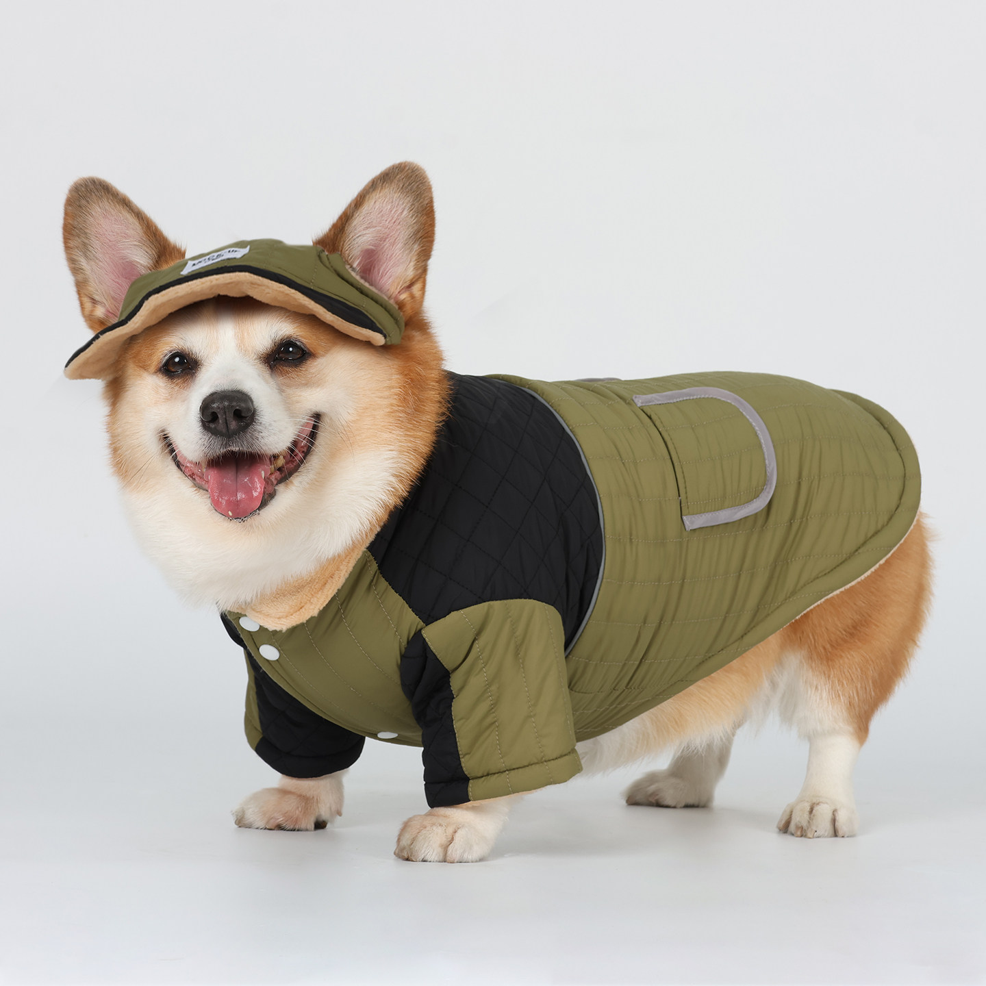 宠物狗狗保暖衣服加绒冬装棉衣柯基泰迪秋冬款中型犬小型犬带帽子,宠物/宠物食品及用品,狗宠物服装/雨衣,淘宝优惠券,粉丝福利购,淘宝优惠卷