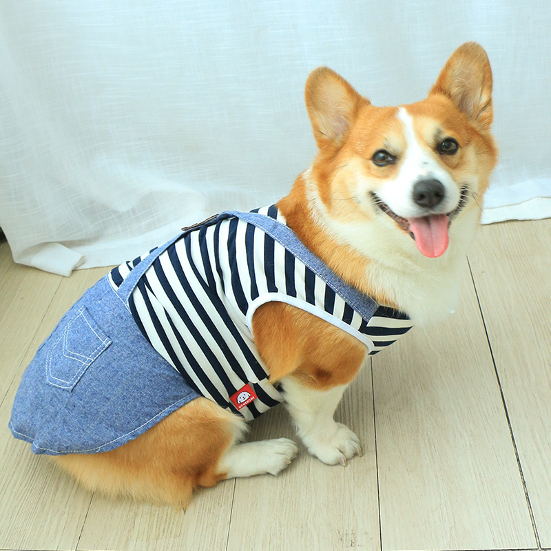 夏季薄款狗狗衣服夏天柯基小型犬