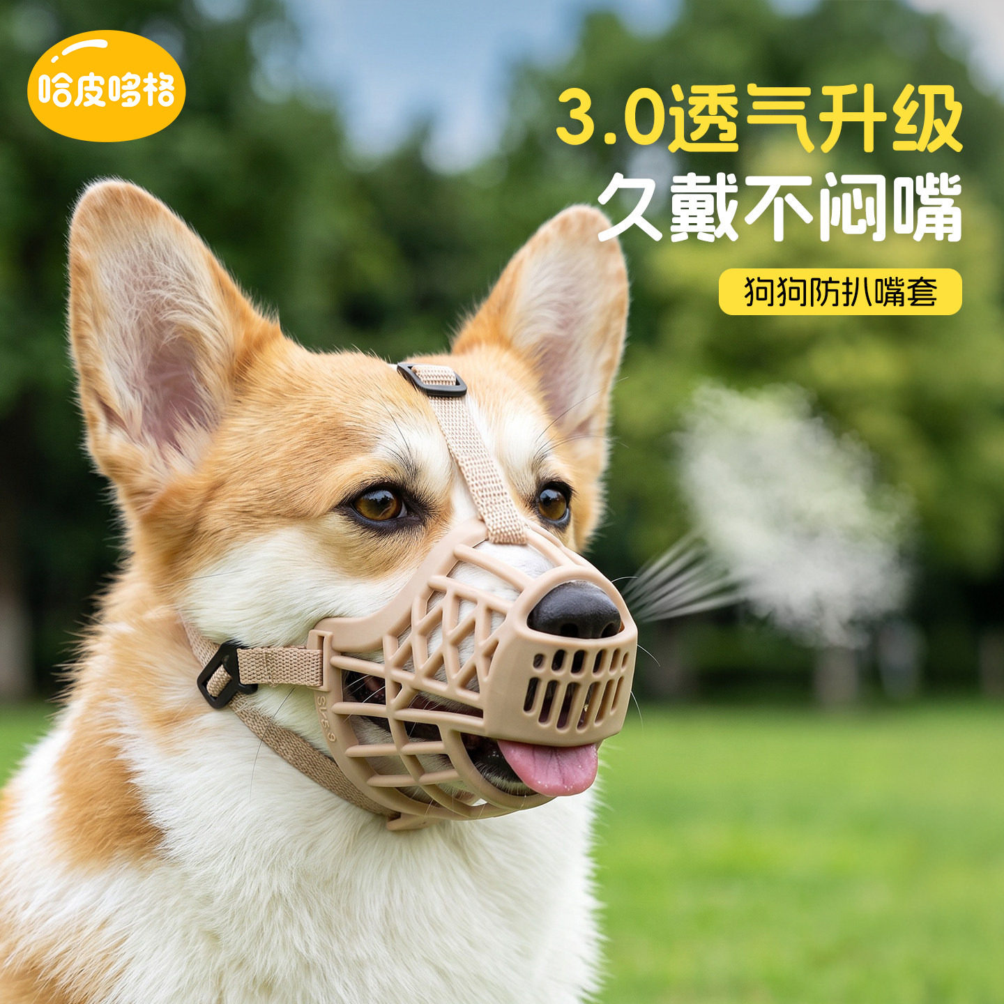 宠物狗狗柯基专用嘴套防扒防误食防咬防叫遛狗防咬人口罩恶犬装备